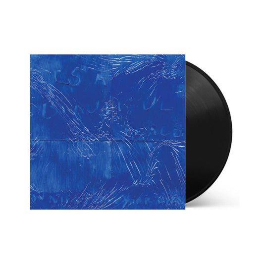 Water From Your Eyes - C'est un bel endroit