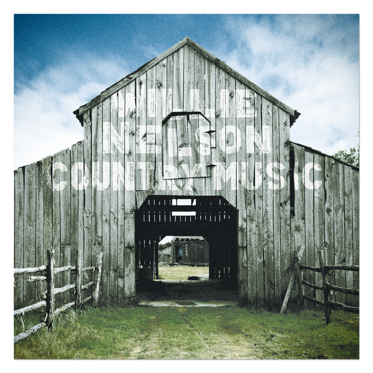 Willie Nelson - Country Music [2 vinyles]