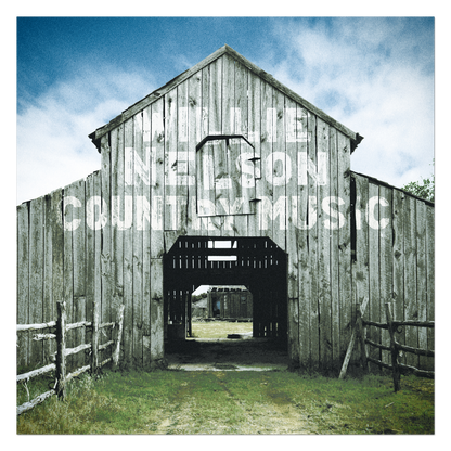 Willie Nelson - Country Music [2 vinyles]